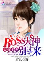天价追妻:BOSS大神别过来 天价追妻:BOSS大神别过来