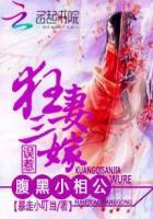 狂妻三嫁:误惹腹黑小相公 狂妻三嫁:误惹腹黑小相公