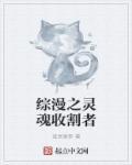 综漫之灵魂收割者 综漫之灵魂收割者