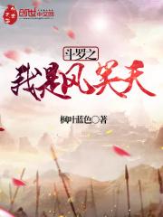 斗罗之我是风笑天 斗罗之我是风笑天