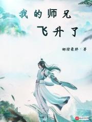 我的师兄飞升了 我的师兄飞升了